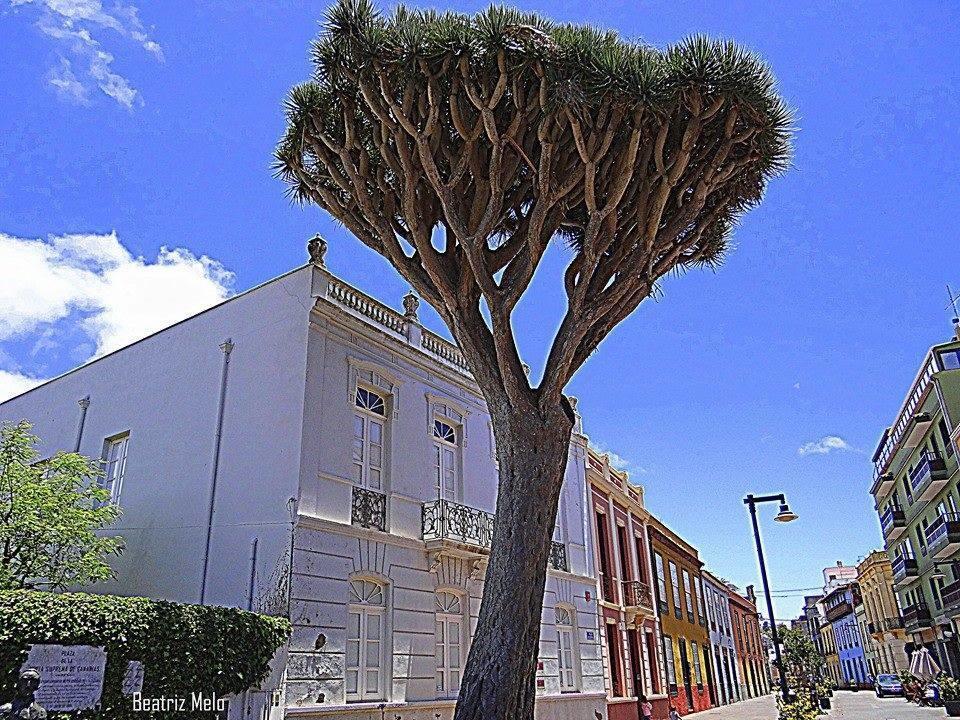 Apartamento Maya La Laguna  Kültér fotó